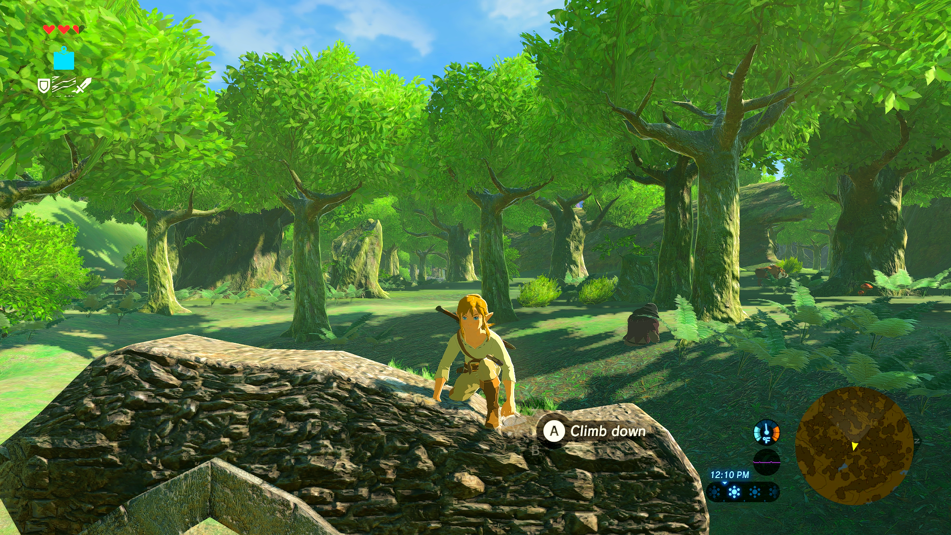 Screenshot Better Looking Hyrule The Legend Of Zelda Breath Of The