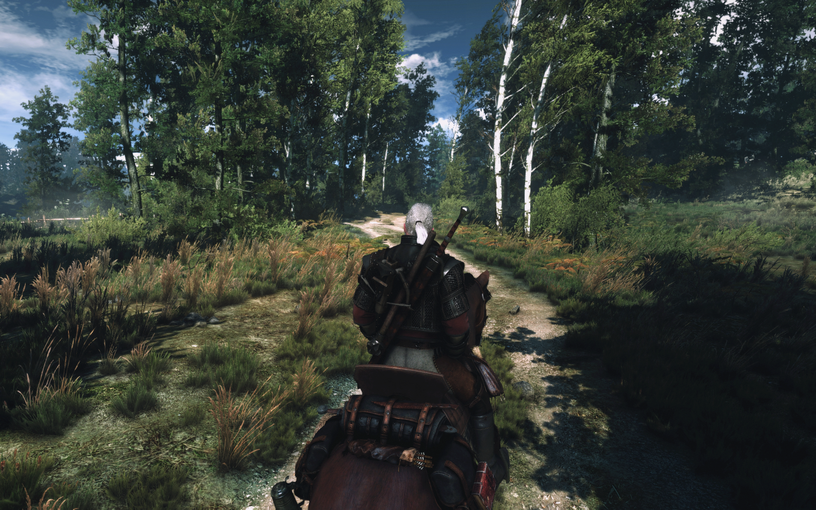 overkill the witcher 3