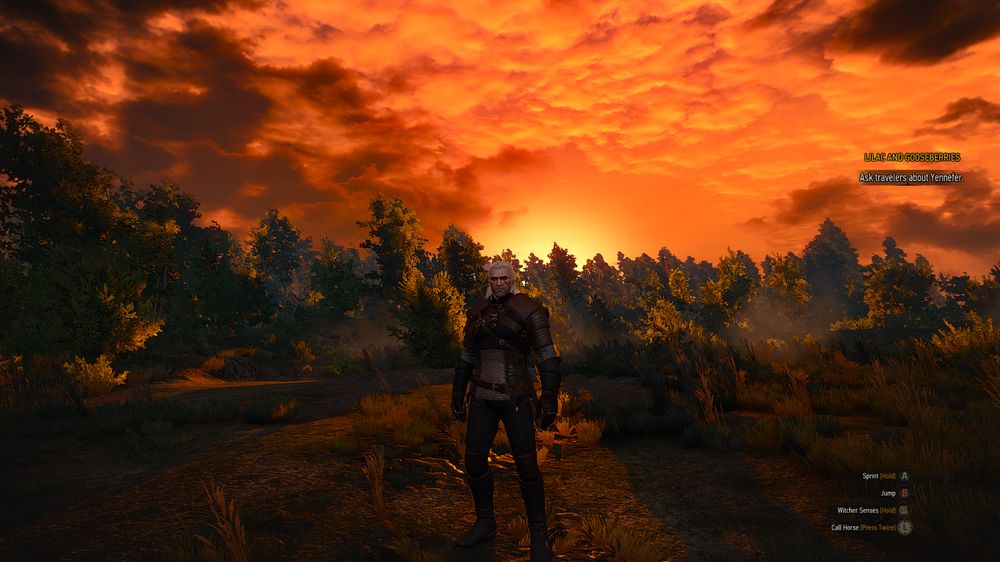 Screenshot - ☣ Quentin's ♣ Truely ♣ Beautiful ☣ (The Witcher 3: Wild Hunt)
