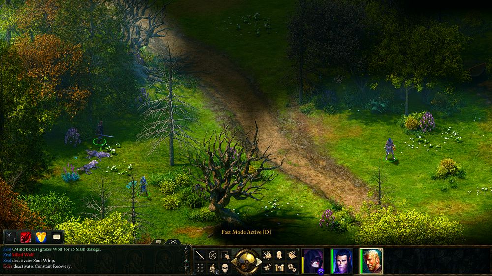 Screenshot - Shaders of Eternity (Pillars of Eternity)