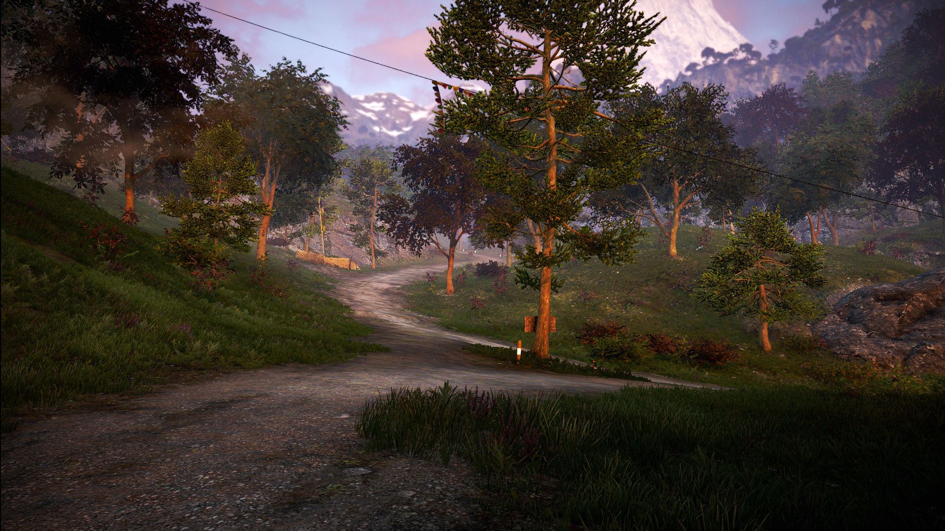 Screenshot - WARR (X) (Far Cry 4)