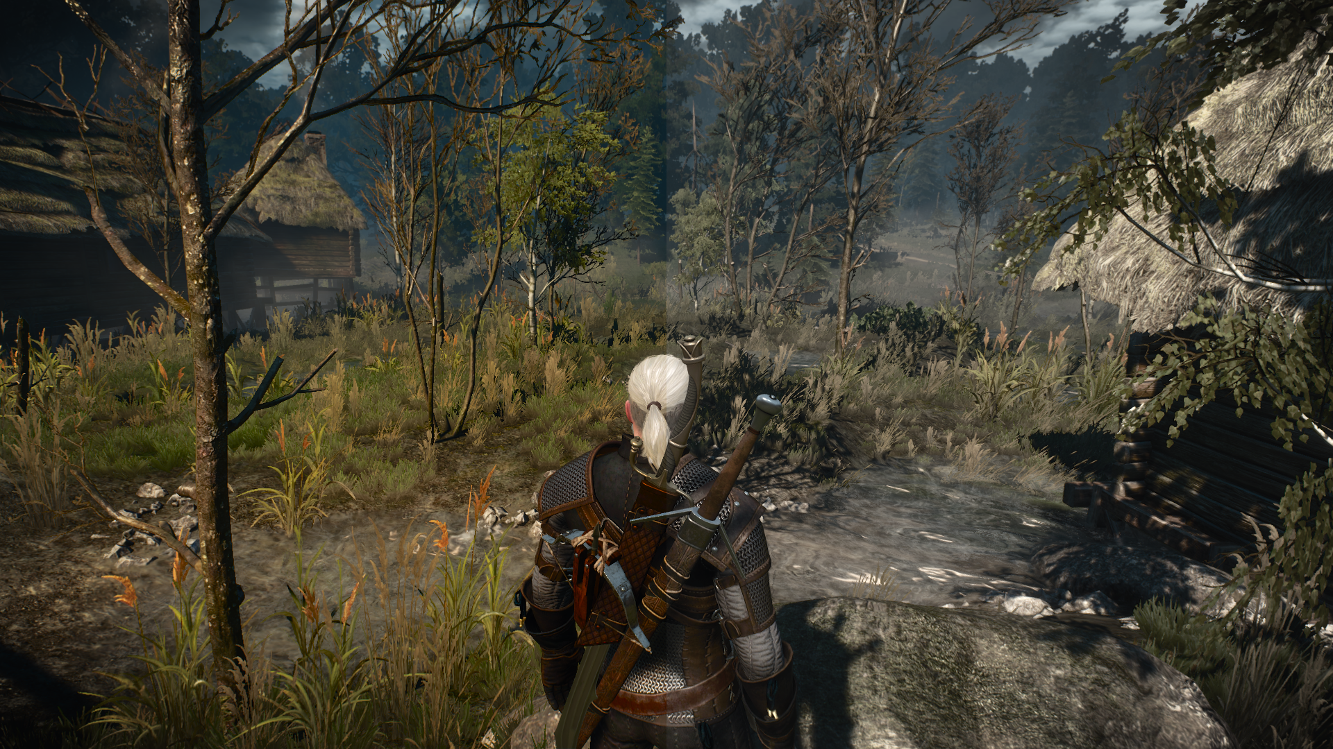 Fps drop the witcher 3 фото 116