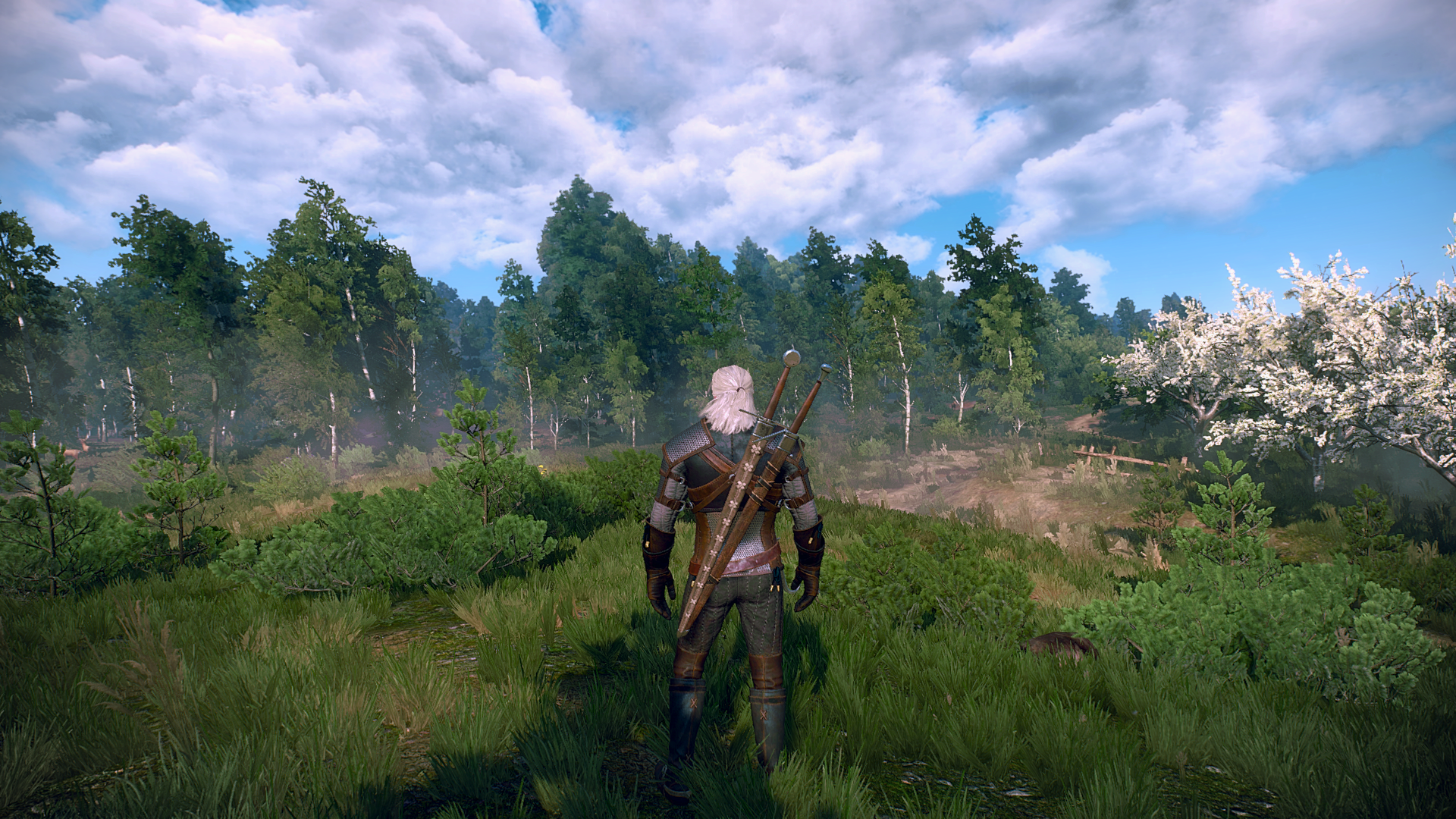 Community patch base the witcher 3 фото 114