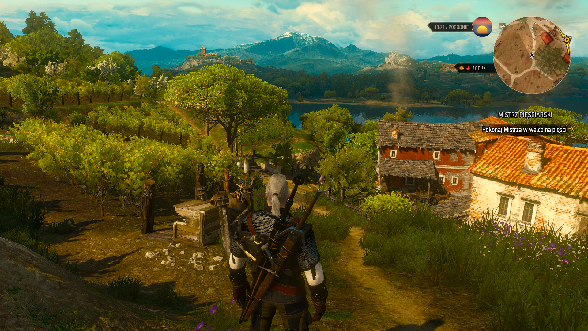 The witcher 3 dlc blood wine фото 104