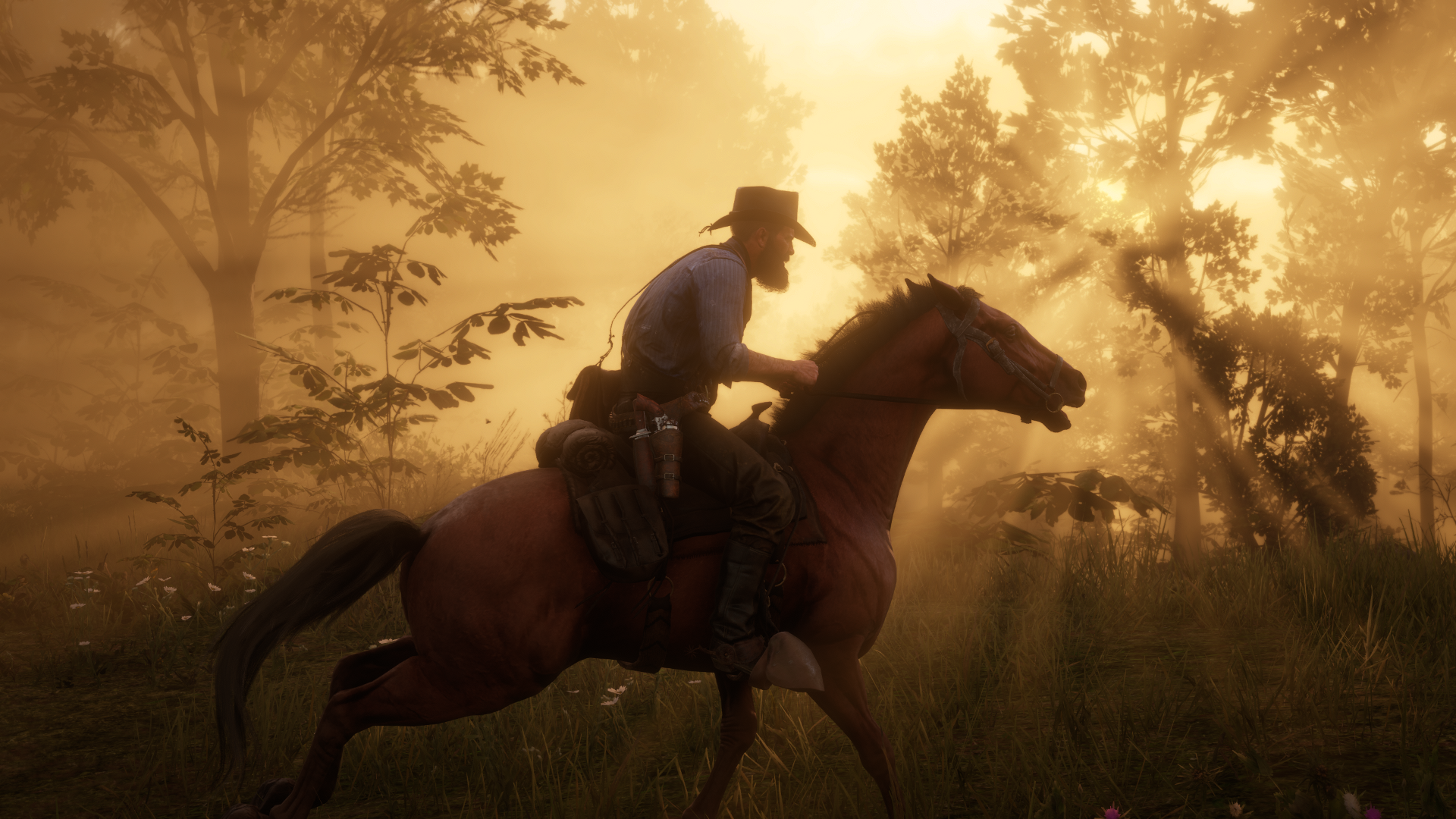 Rdr 2 Ultra Graphics. Red Dead Redemption 2 Скриншоты. Red Dead Redemption 2 Ван Хорн.